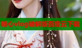 糖心vlog破解版百度云下载