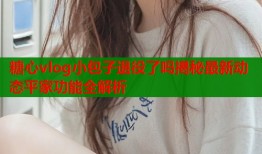 糖心vlog小包子退役了吗揭秘最新动态平家功能全解析