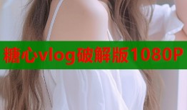 糖心vlog破解版1080P