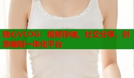 糖心VLOG：视频存储、社交分享、创意编辑一体化平台