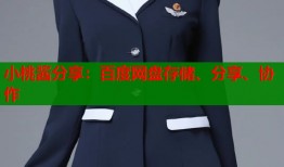 小桃酱分享：百度网盘存储、分享、协作