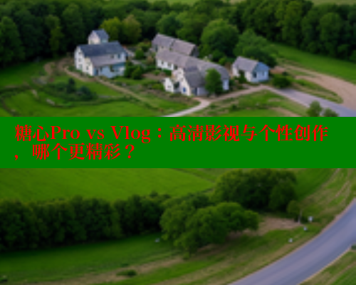 糖心Pro vs Vlog：高清影视与个性创作，哪个更精彩？