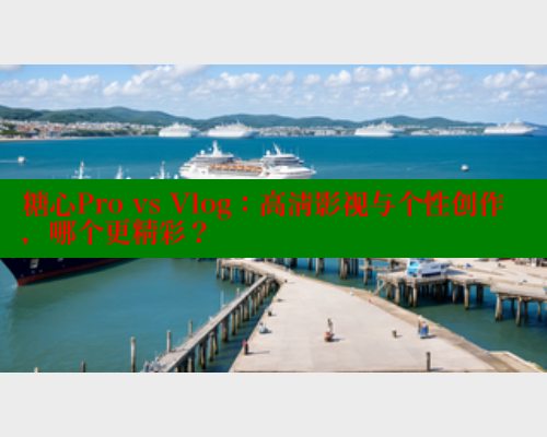 糖心Pro vs Vlog：高清影视与个性创作，哪个更精彩？
