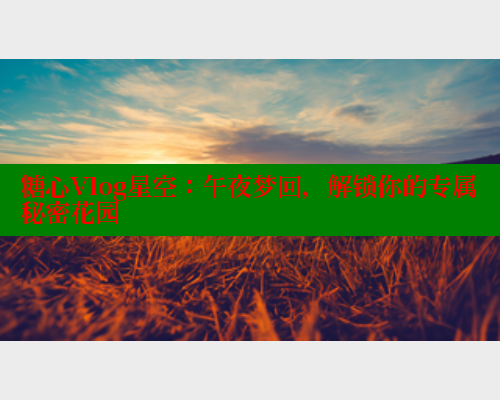 糖心Vlog星空：午夜梦回，解锁你的专属秘密花园